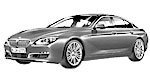 BMW F06 B196C Fault Code